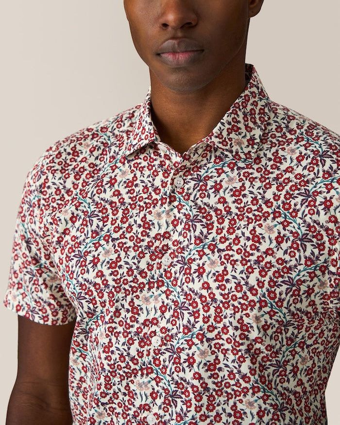 red-poppy-floral-all
