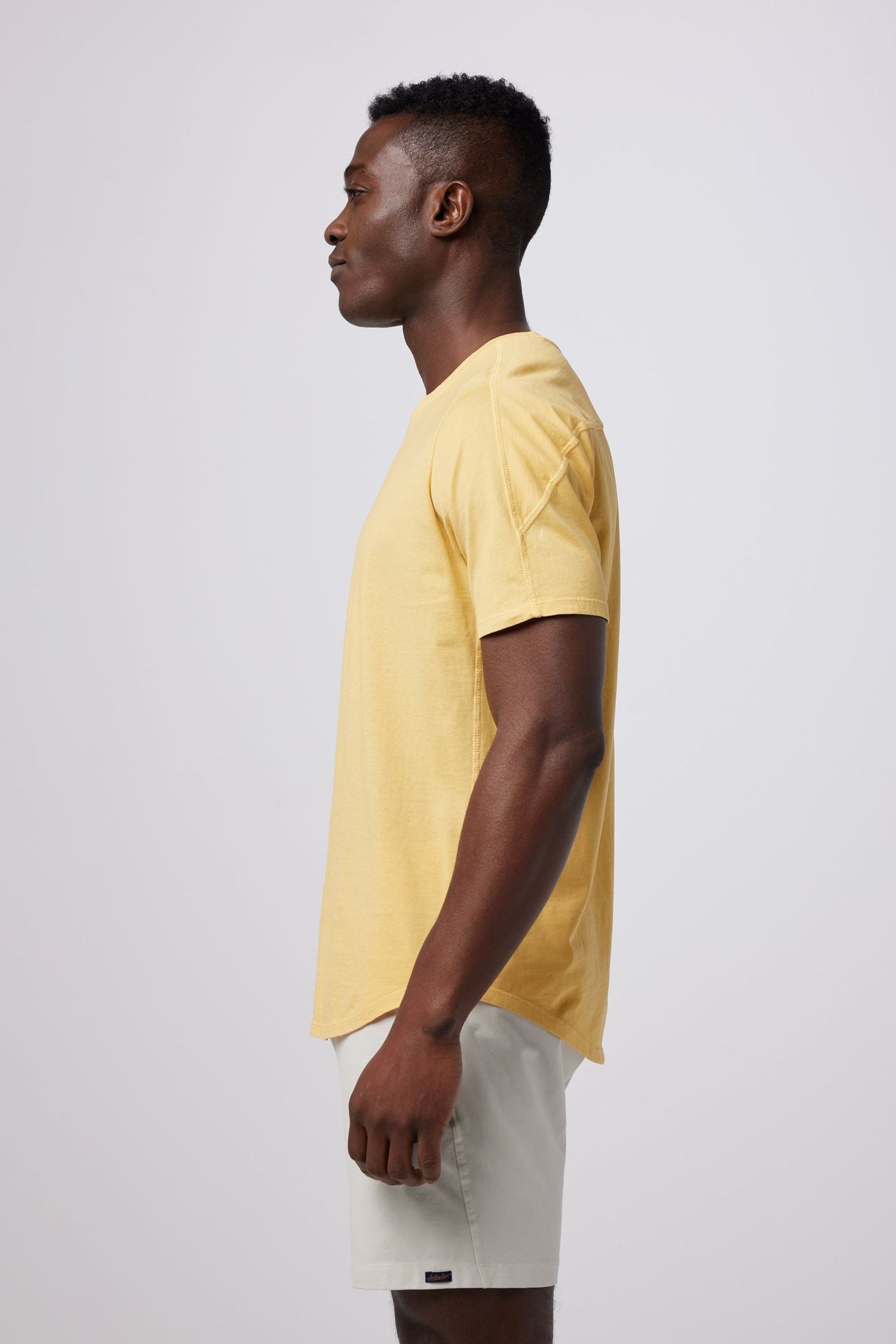 ochre_M_David_all